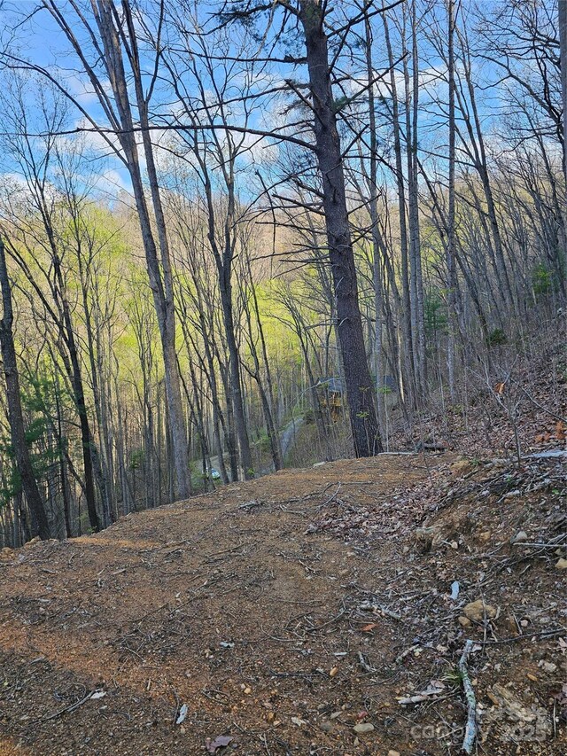 99999 Pink Fox Cove Rd, Weaverville, NC 28787