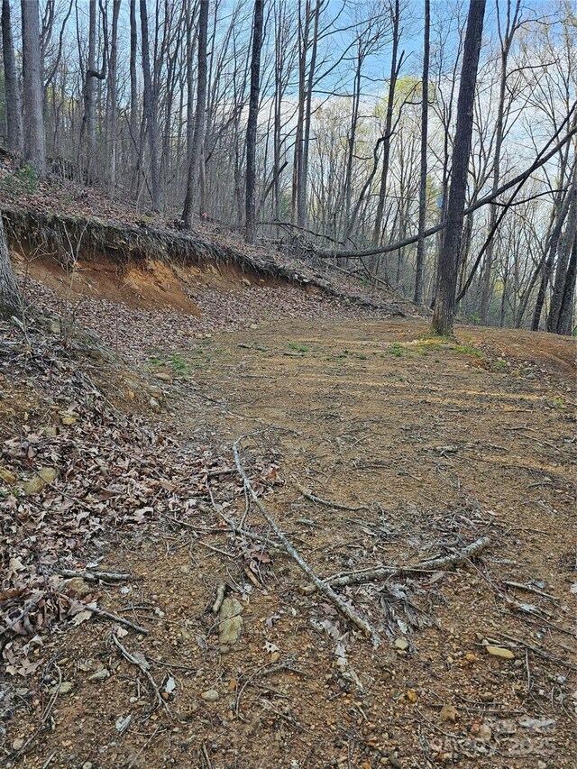99999 Pink Fox Cove Rd, Weaverville, NC 28787