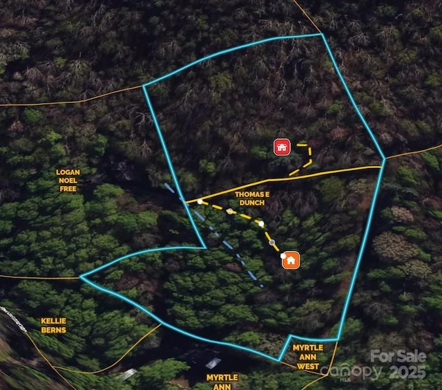 99999 Pink Fox Cove Rd, Weaverville, NC 28787 - photo 47