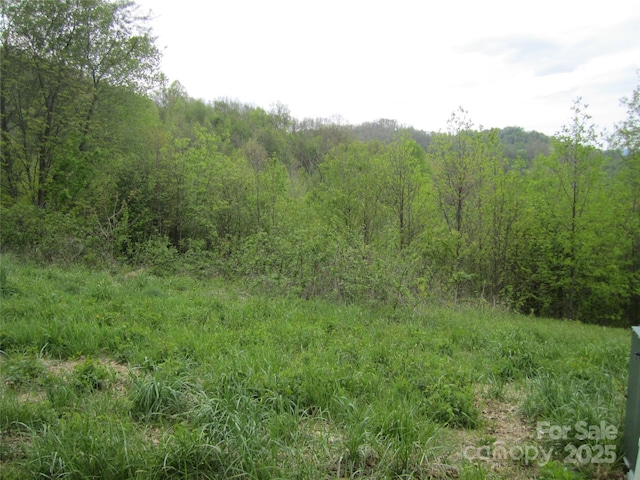 000 Signature Row Blvd Unit 17, Waynesville, NC 28785