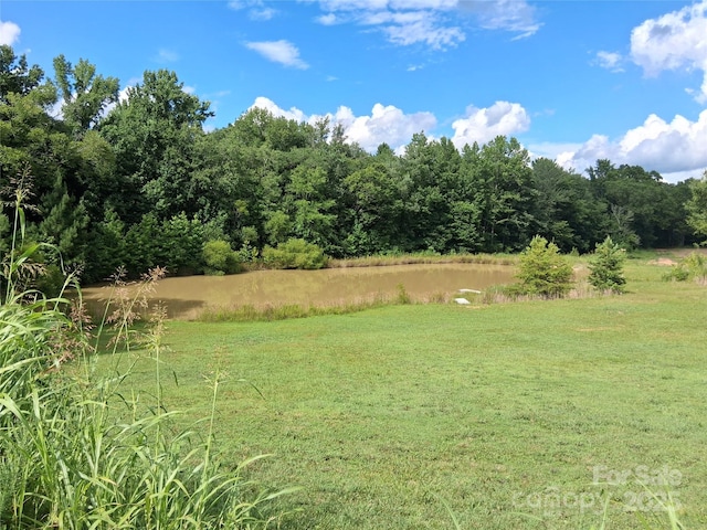 4330 Goodman Lake Rd, Salisbury, NC 28146 - photo 46