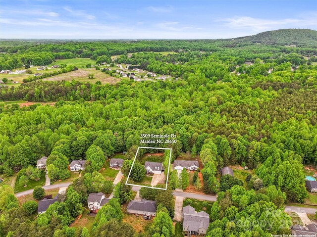 3509 Seminole Dr, Maiden, NC 28650 - photo 40