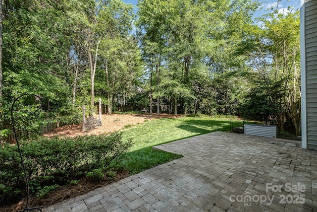 view of yard featuring a patio area