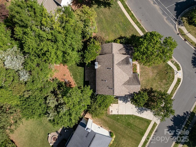 bird's eye view
