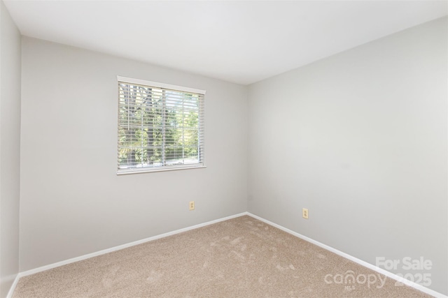 7507 Holly Grove Ct, Charlotte, NC 28227 - photo 14