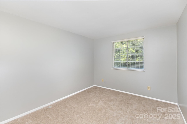 7507 Holly Grove Ct, Charlotte, NC 28227 - photo 15
