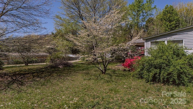 19 Blackberry Ln Unit 42, Candler, NC 28715 - view of yard