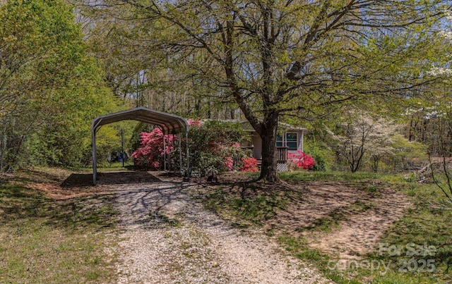 19 Blackberry Ln Unit 42, Candler, NC 28715 - view of yard featuring driveway and a carport