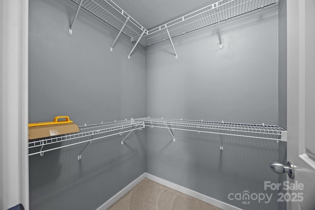 walk in closet with carpet