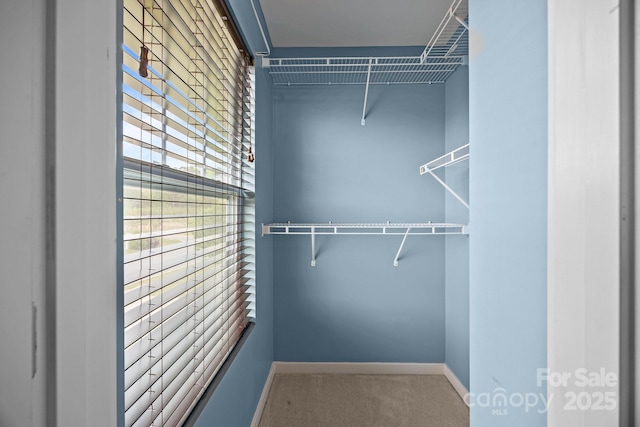 spacious closet with carpet