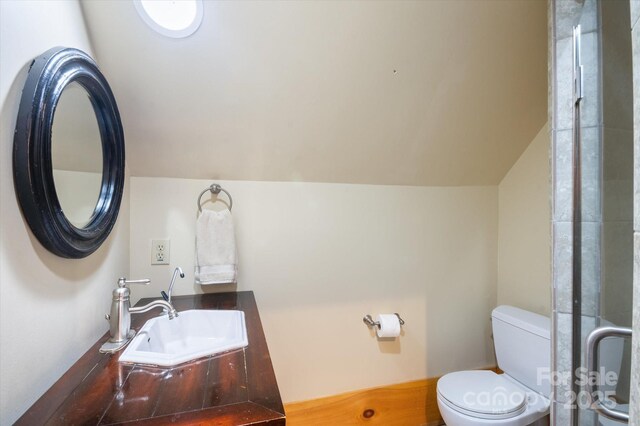 54 Cottage Grove Dr, Nebo, NC 28761 - bathroom with toilet, lofted ceiling, and vanity