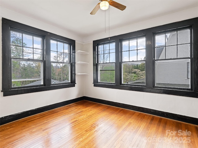 187 Pearson Dr, Asheville, NC 28801 - photo 17
