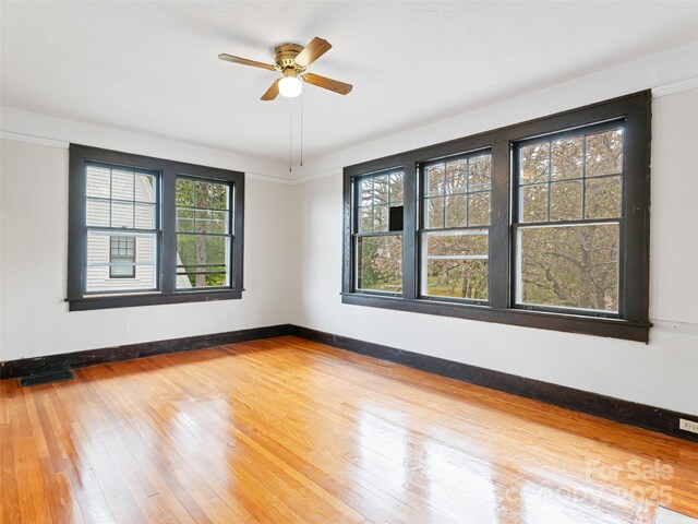 187 Pearson Dr, Asheville, NC 28801 - photo 22