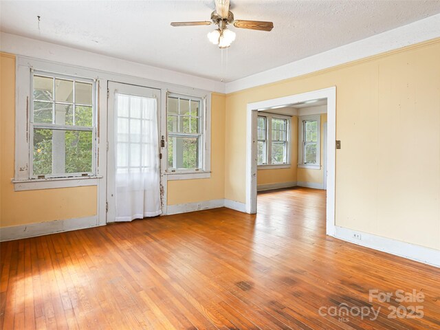 187 Pearson Dr, Asheville, NC 28801 - photo 32