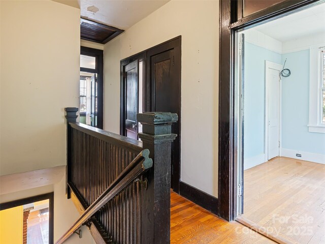 187 Pearson Dr, Asheville, NC 28801 - photo 39