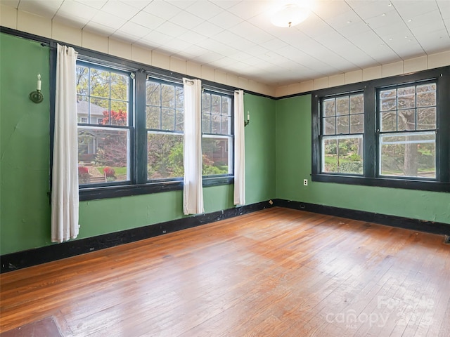 187 Pearson Dr, Asheville, NC 28801 - photo 43