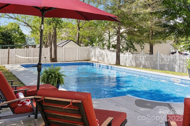 221 Sycamore Creek Rd, Fort Mill, SC 29708 - view of pool with a fenced in pool, a patio, and a fenced backyard