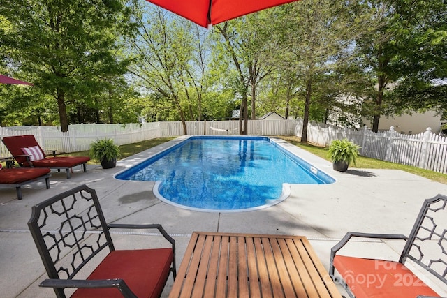 221 Sycamore Creek Rd, Fort Mill, SC 29708 - view of swimming pool with a patio area and a fenced backyard