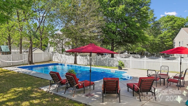 221 Sycamore Creek Rd, Fort Mill, SC 29708 - view of pool with a patio area, a fenced backyard, a fenced in pool, and a yard