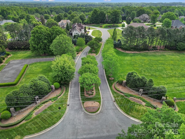 bird's eye view