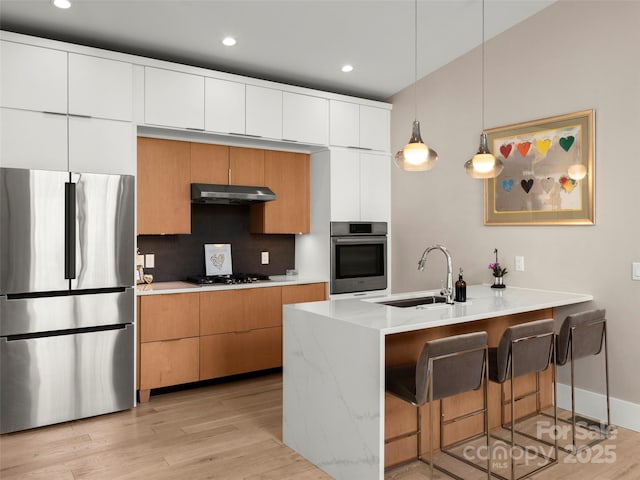 146 Timber Creek Rd, Hendersonville, NC 28739 - kitchen featuring a sink, a peninsula, under cabinet range hood, stainless steel appliances, and light wood-style flooring