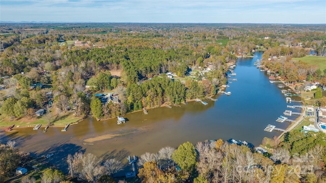 6778 Emerald Isle Dr, Sherrills Ford, NC 28673 - view of property location with a forest and a nearby body of water