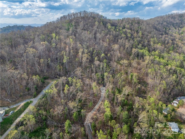 LOT1 Wake Robin Way, Asheville, NC 28805