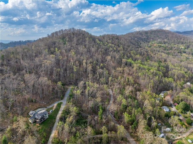 LOT1 Wake Robin Way, Asheville, NC 28805