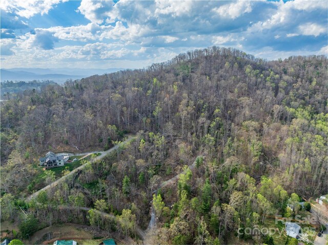 LOT1 Wake Robin Way, Asheville, NC 28805