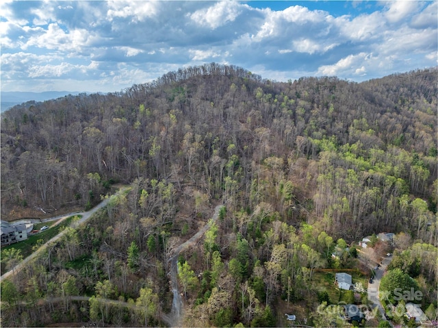 LOT1 Wake Robin Way, Asheville, NC 28805