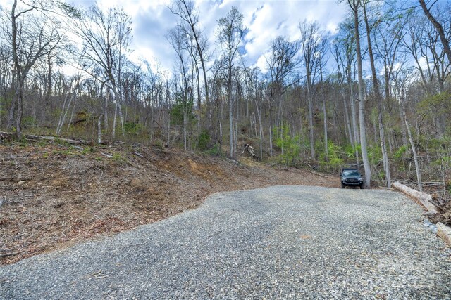 LOT1 Wake Robin Way, Asheville, NC 28805