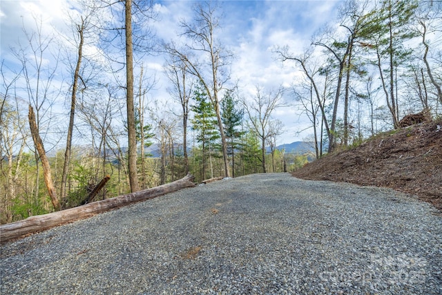 LOT1 Wake Robin Way, Asheville, NC 28805