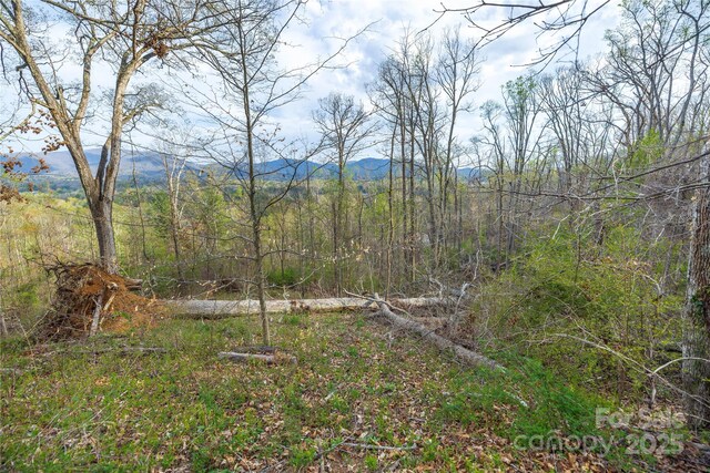LOT1 Wake Robin Way, Asheville, NC 28805