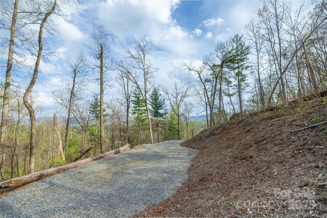 LOT1 Wake Robin Way, Asheville, NC 28805