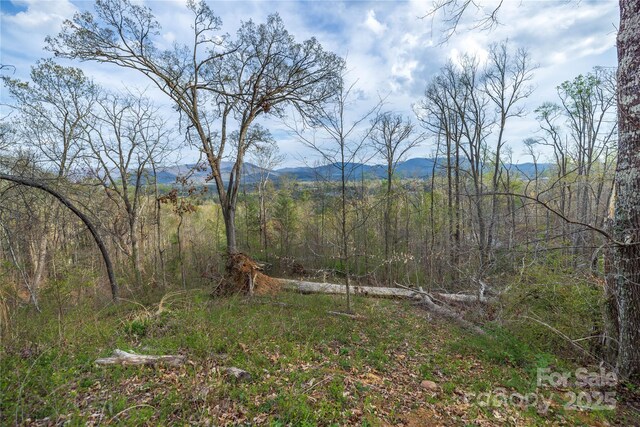 LOT1 Wake Robin Way, Asheville, NC 28805