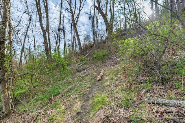 LOT1 Wake Robin Way, Asheville, NC 28805