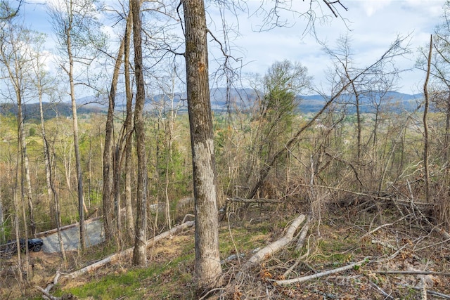 LOT1 Wake Robin Way, Asheville, NC 28805