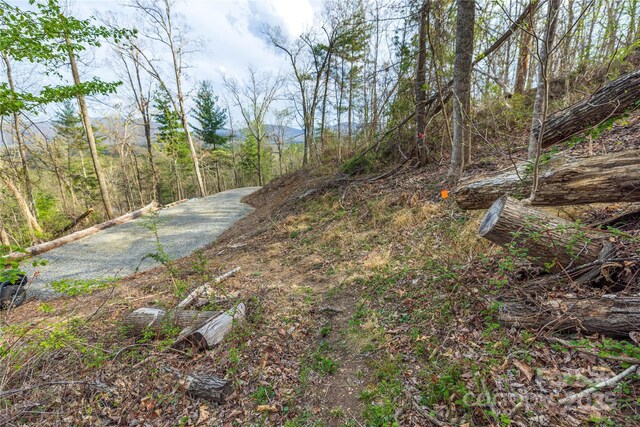 LOT1 Wake Robin Way, Asheville, NC 28805
