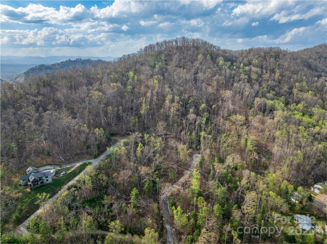 LOT2 Wake Robin Way, Asheville, NC 28805