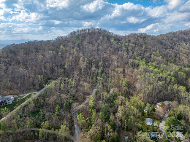 LOT2 Wake Robin Way, Asheville, NC 28805