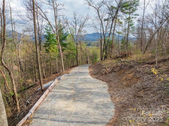 LOT2 Wake Robin Way, Asheville, NC 28805
