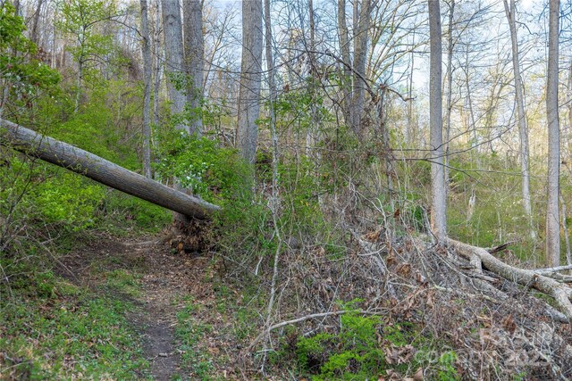 LOT2 Wake Robin Way, Asheville, NC 28805