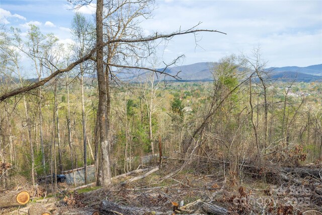LOT2 Wake Robin Way, Asheville, NC 28805