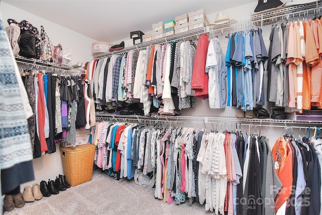 11616 Solstice Way, Huntersville, NC 28078 - walk in closet with carpet floors