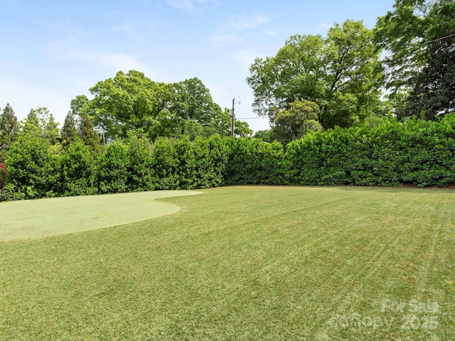 view of yard