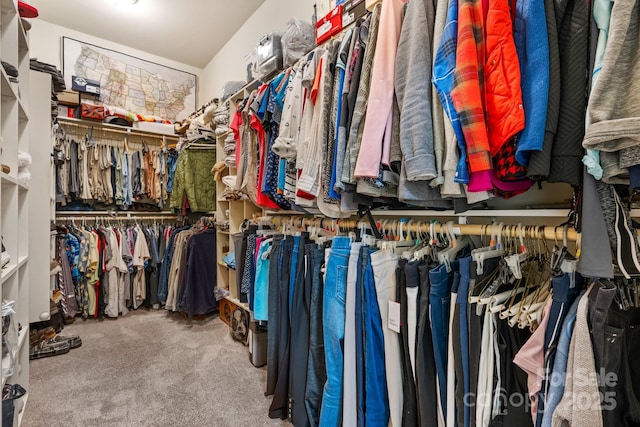 spacious closet with carpet