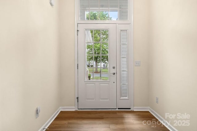 20135 Dovekie Ln, Fort Mill, SC 29707 - entryway featuring wood finished floors and baseboards