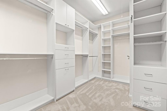 20135 Dovekie Ln, Fort Mill, SC 29707 - walk in closet with light carpet