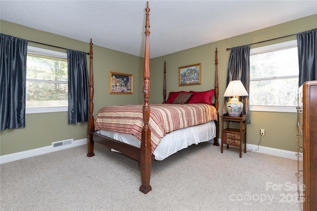 22 Robinhood Rd, Asheville, NC 28804 - bedroom with multiple windows, visible vents, and carpet floors