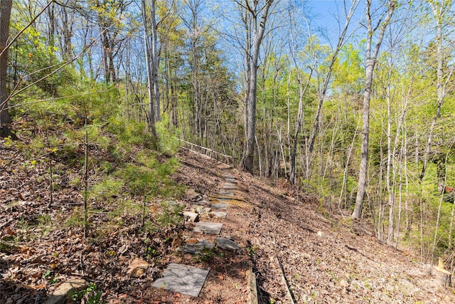 22 Robinhood Rd, Asheville, NC 28804 - photo 7